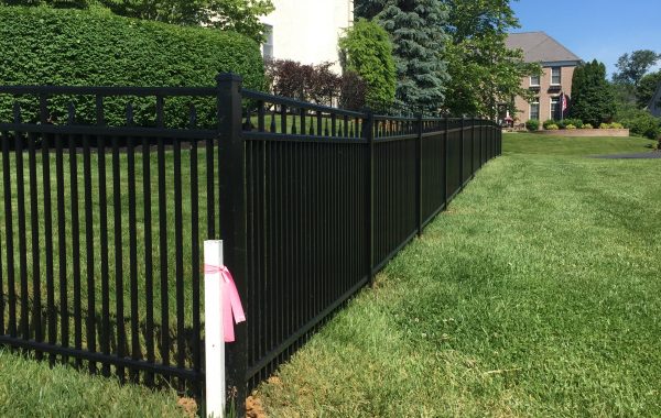 Aluminum-Fence-Backyard
