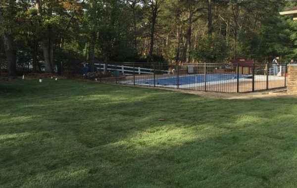Aluminum-Fence-Backyard-Pool