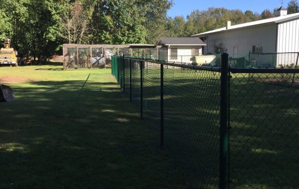 Chain link-Fence